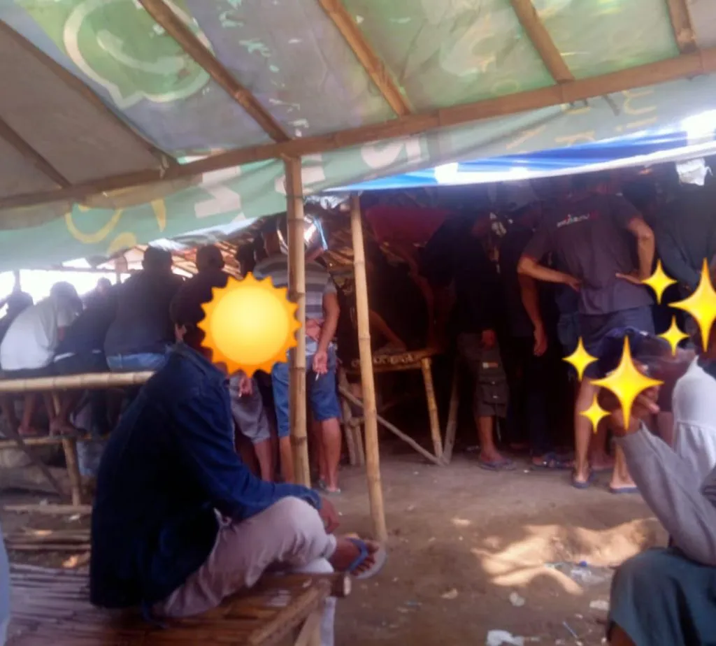 Judi Sabung Ayam di Kelurahan Wates Nlai Taruhan Jutaan Rupiah
