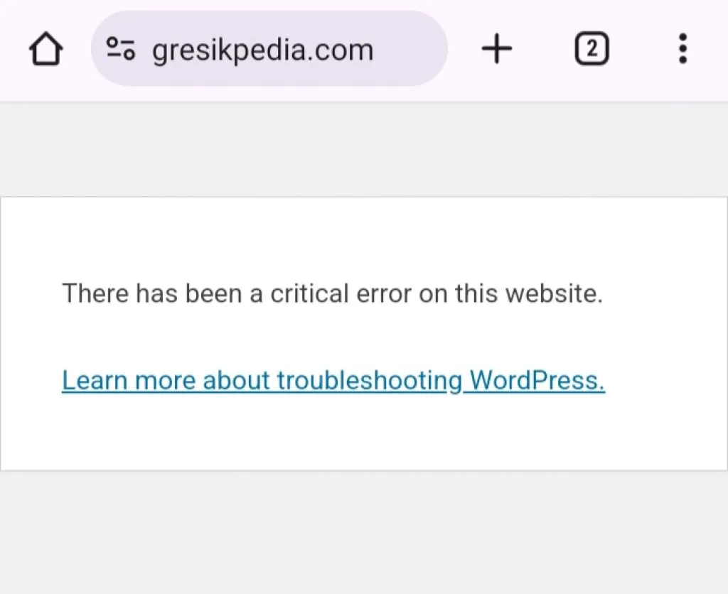 Diskominfo Gresik Habiskan Anggaran Puluhan Juta untuk Bayar Admin Gresikpedia