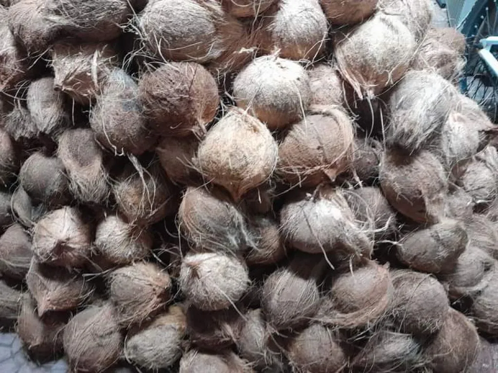 Penipuan Jual Beli Kelapa Berujung Laporan ke Polres Madiun