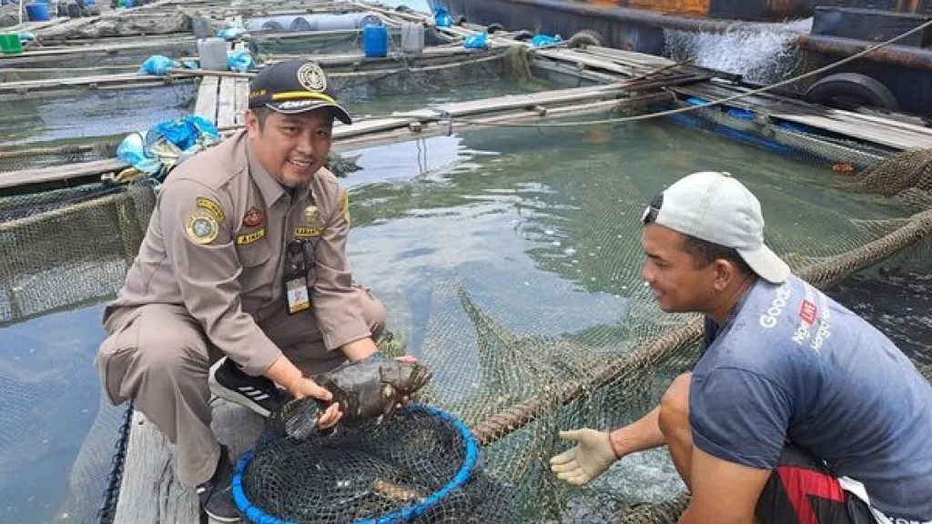 Kerapu Kepulauan Riau Jadi Primadona Hidangan Laut di Hong Kong