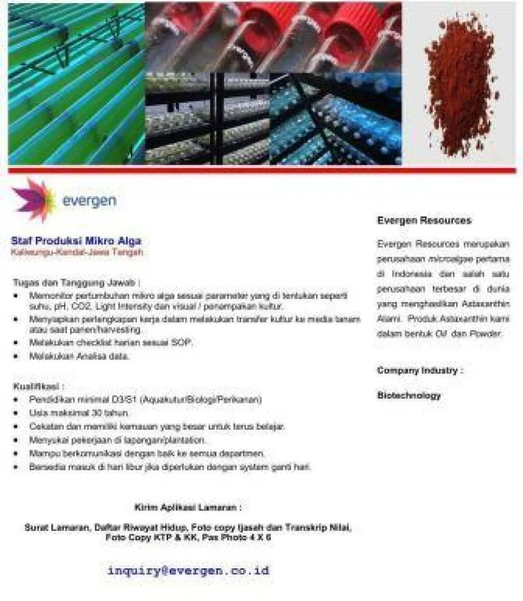 Evergen Buka Lowongan Staf Produksi