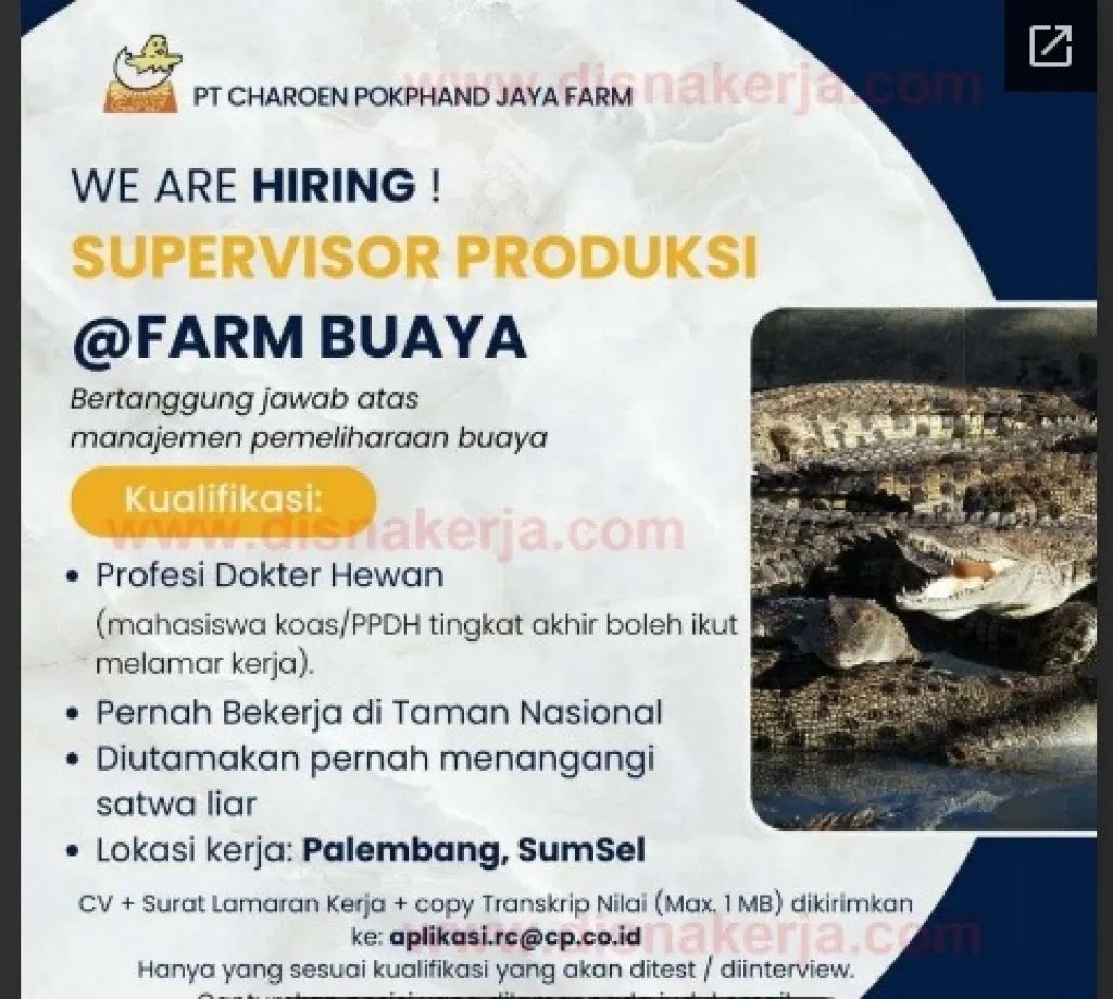 PT Charoen Pokphand Jaya Farm Buka Lowongan di Peternakan Buaya