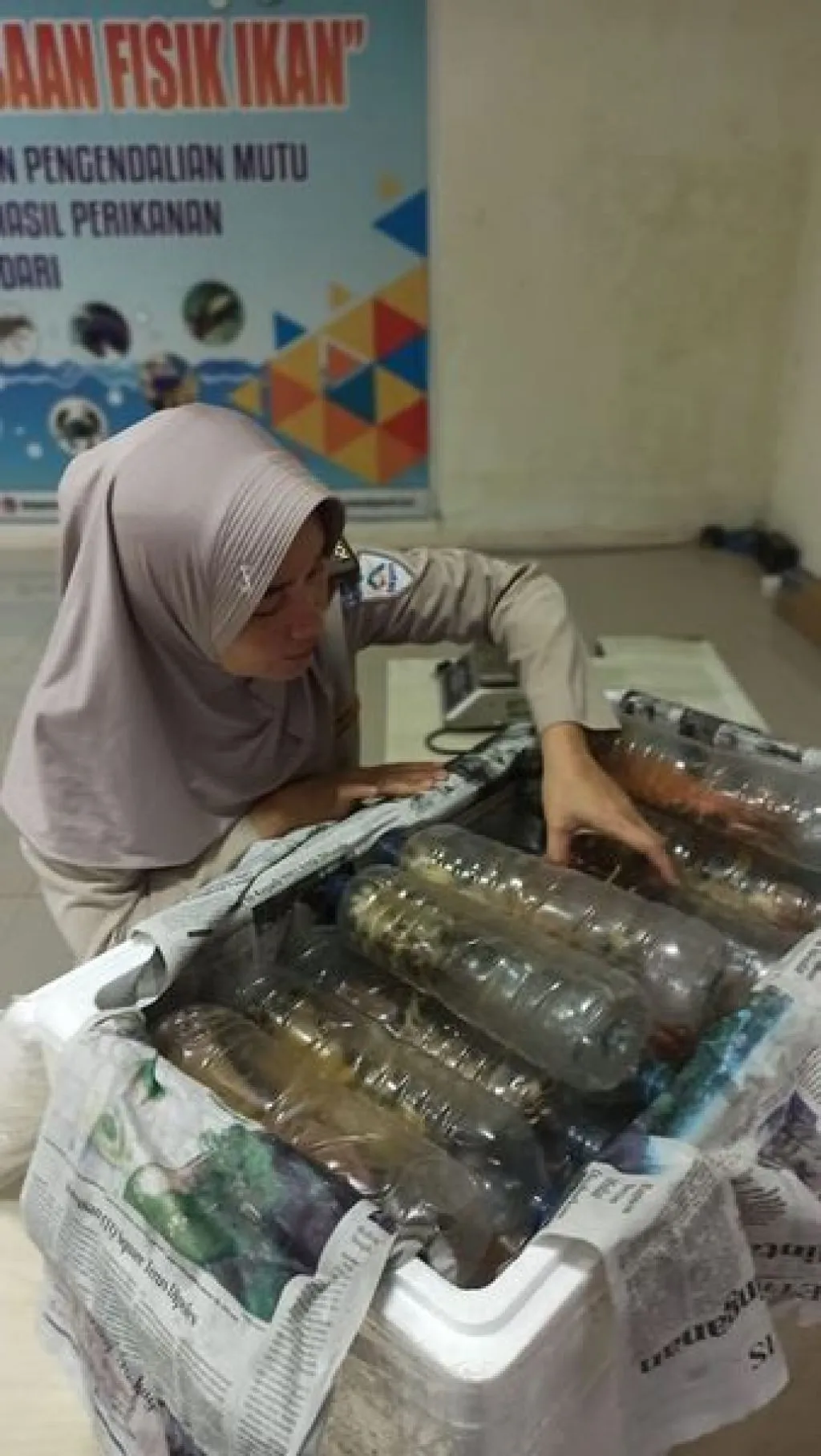 Udang Ronggeng Konawe Favorit Masyarakat Jakarta