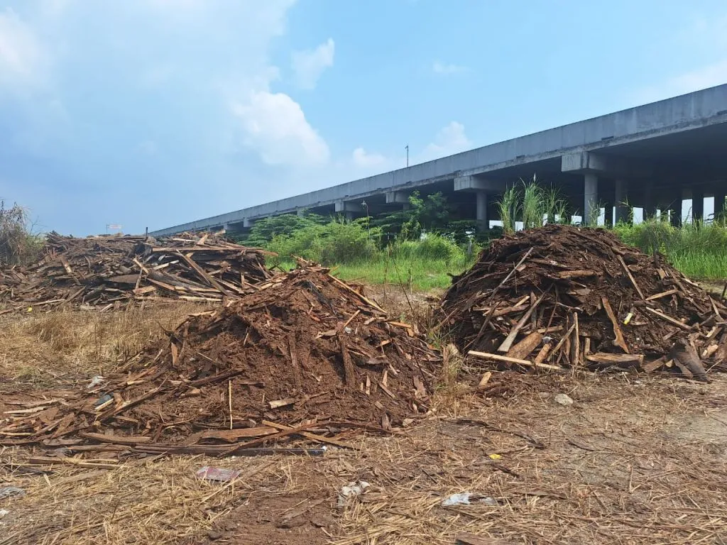 Limbah Pabrik Kayu Bantu Ekonomi Warga