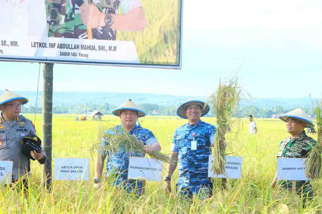 Petani Pinrang Ubah Lahan Rawa Jadi Area Pertanian Produktif