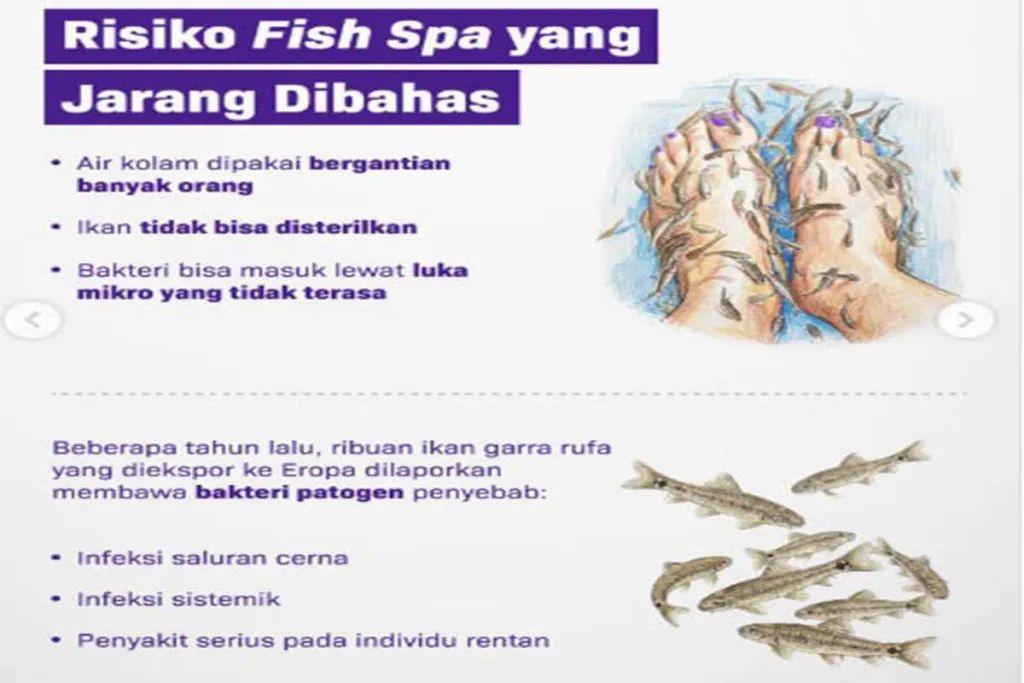 Risiko Fish Spa yang Jarang Dibahas