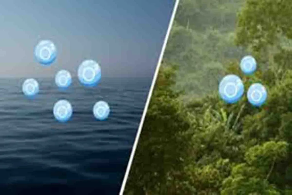Penghasil Oksigen Terbesar Ada di Laut Bukan Hutan
