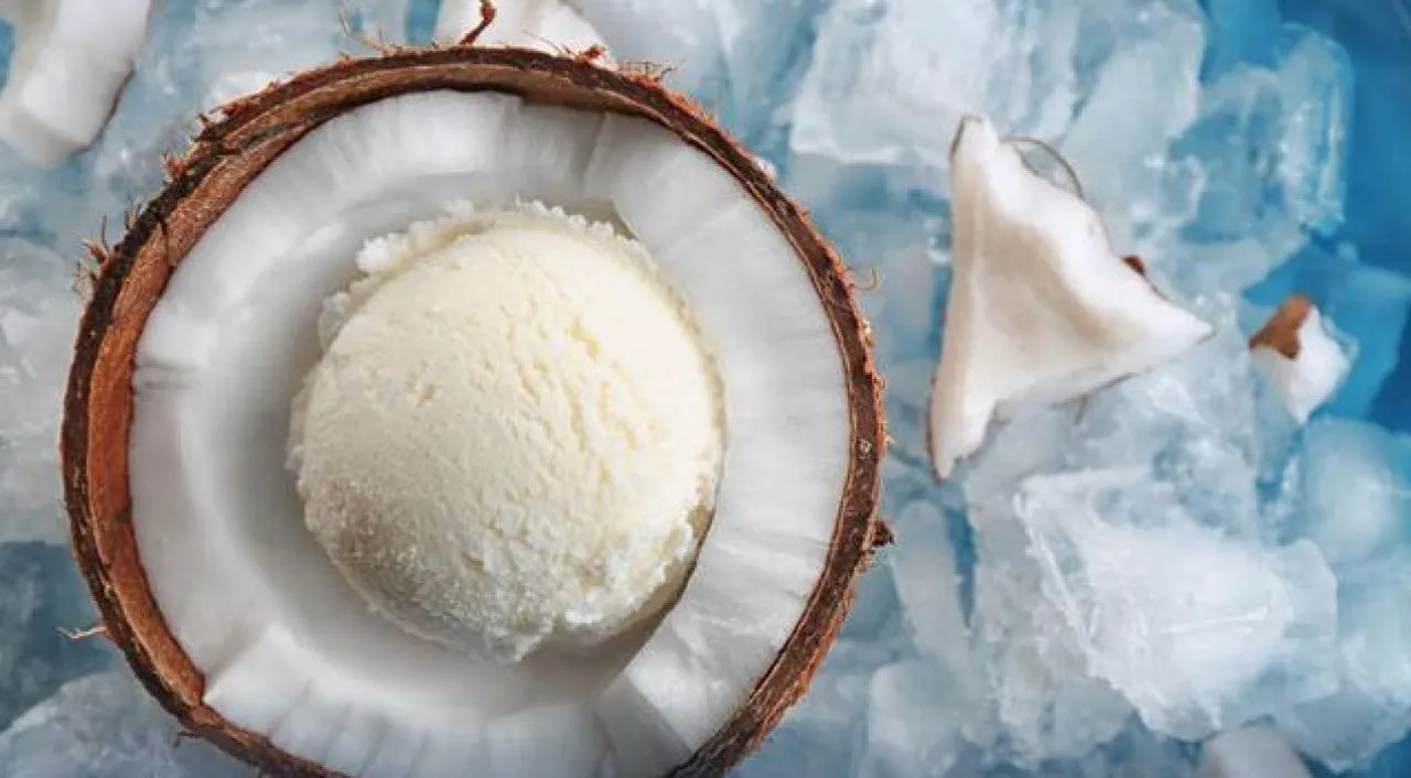 Bea Cukai Tanjung Balai Karimun Lepas Ekspor Perdana Frozen Coconut Cream