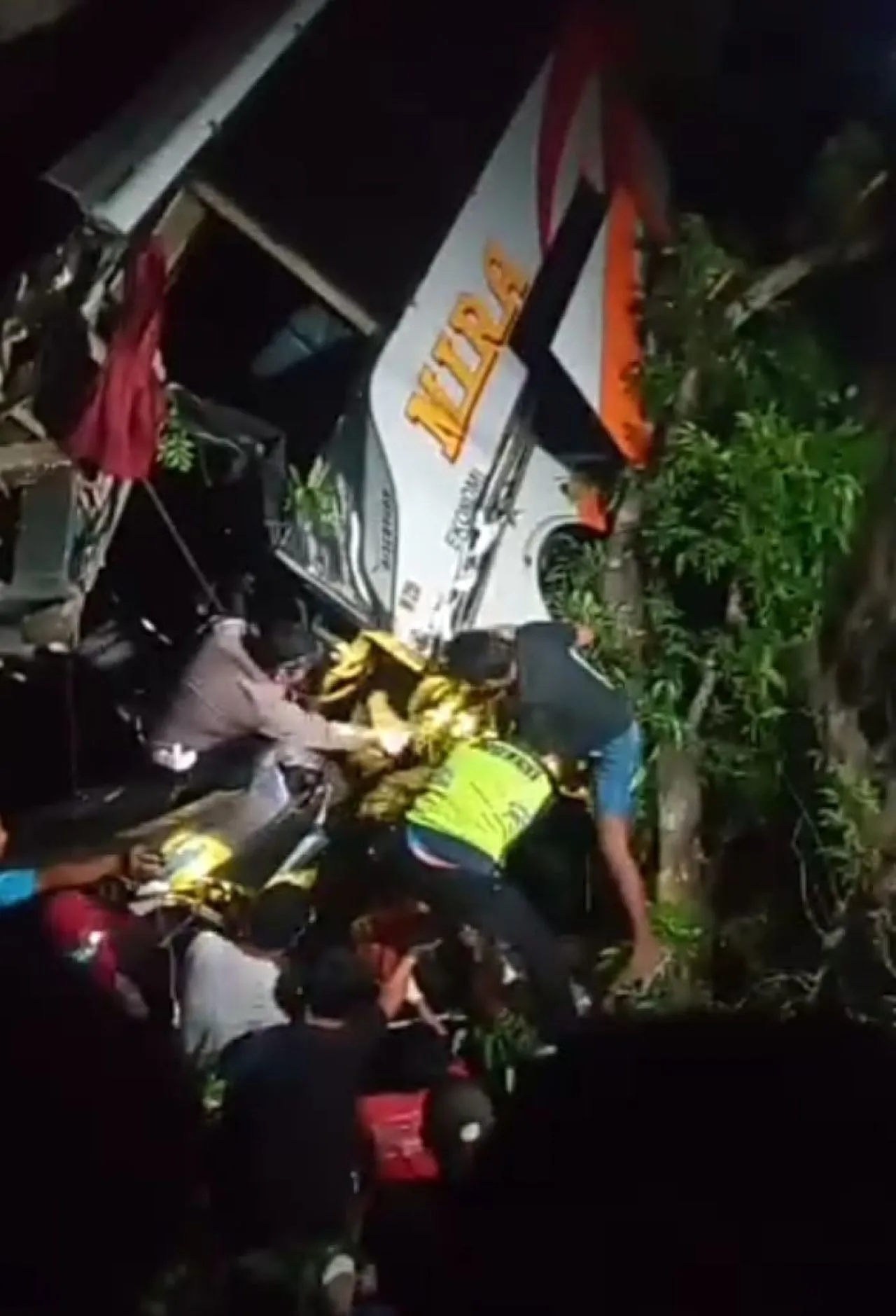 Bus MIRA Tabrak Pohon dan Masuk Parit di Ngawi, Kernet Tewas