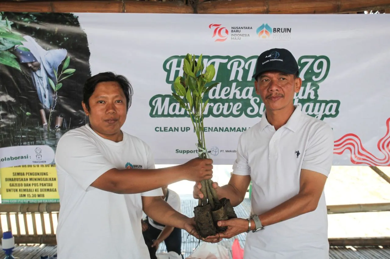 BRUIN Restorasi Kawasan Mangrove Lewat Kampanye Merdeka