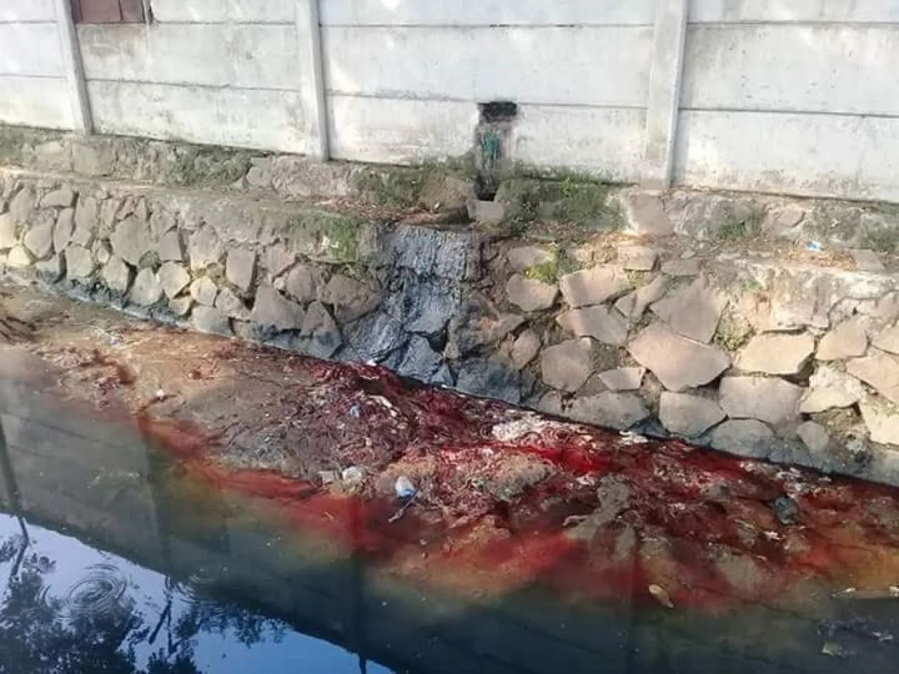Rumah Potong Hewan di Desa Banyuurip Tidak Punya IPAL