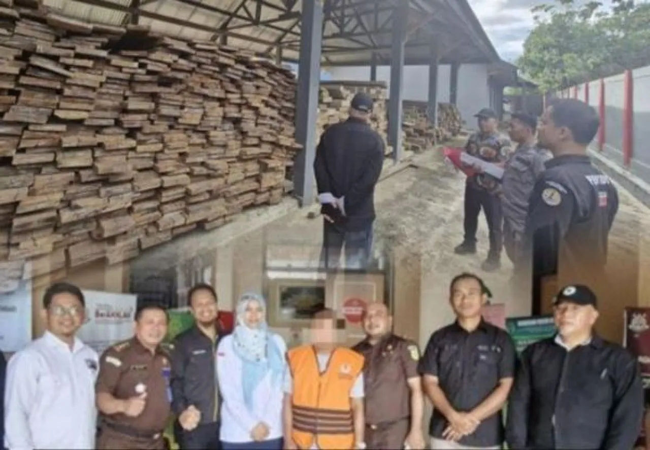 Penanggung Jawab Kapal Ditahan di Kasus Penyelundupan Kayu Ilegal