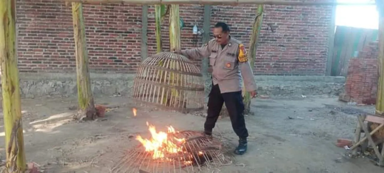 Aksi Sigap Polsek Tarik Berantas Judi Sabung Ayam di Desa Klantingsari