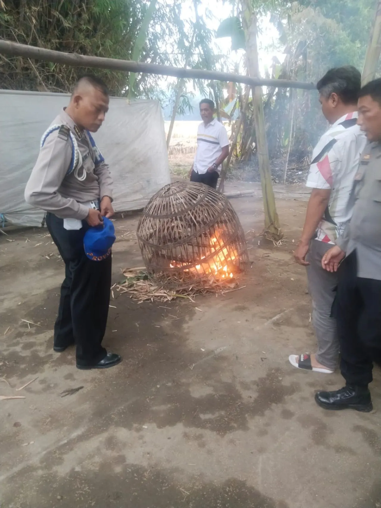 Polsek Tarik Grebek Tempat Judi Sabung Ayam di Desa Klantingsari