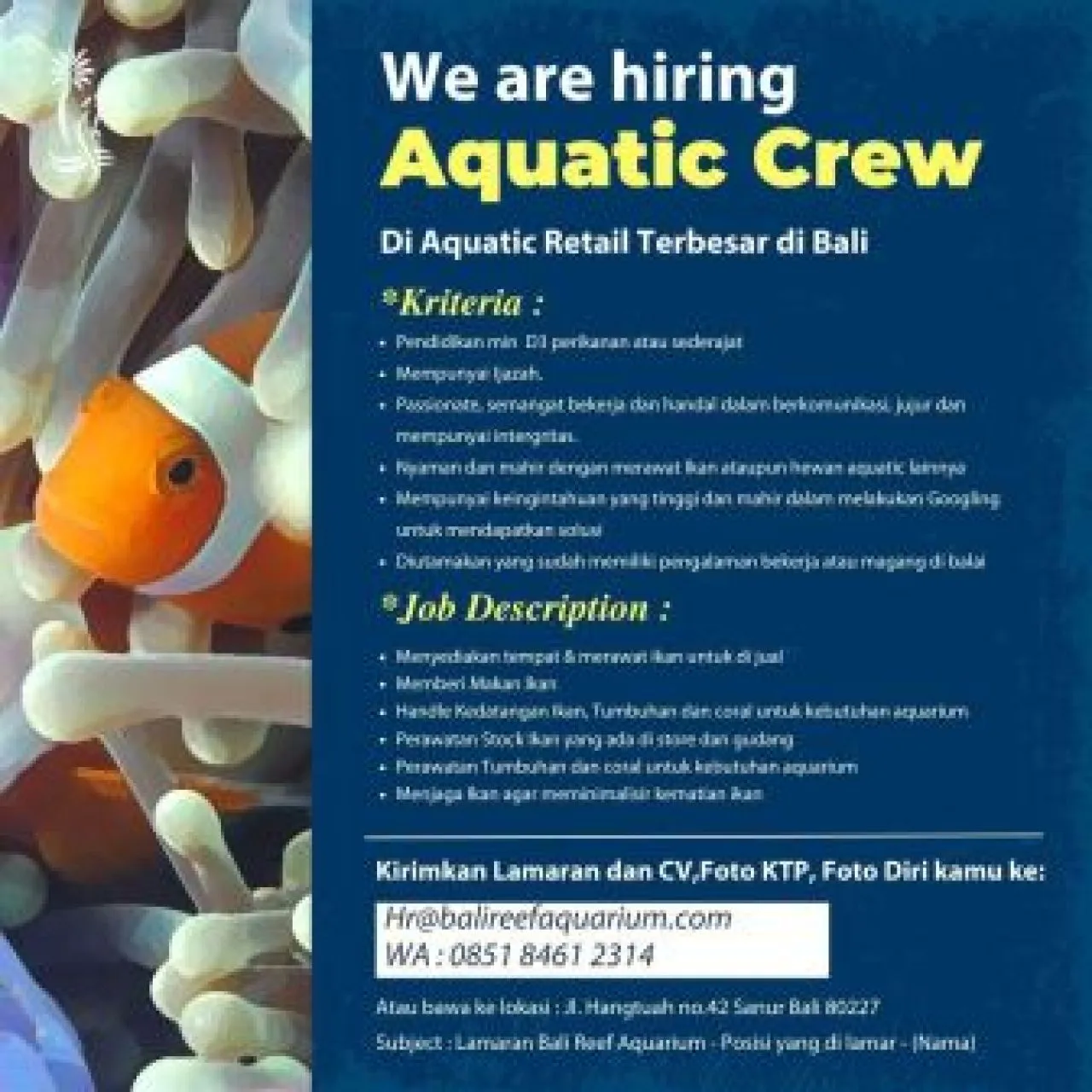 Bali Reef Aquarium Butuh Aquatic Crew