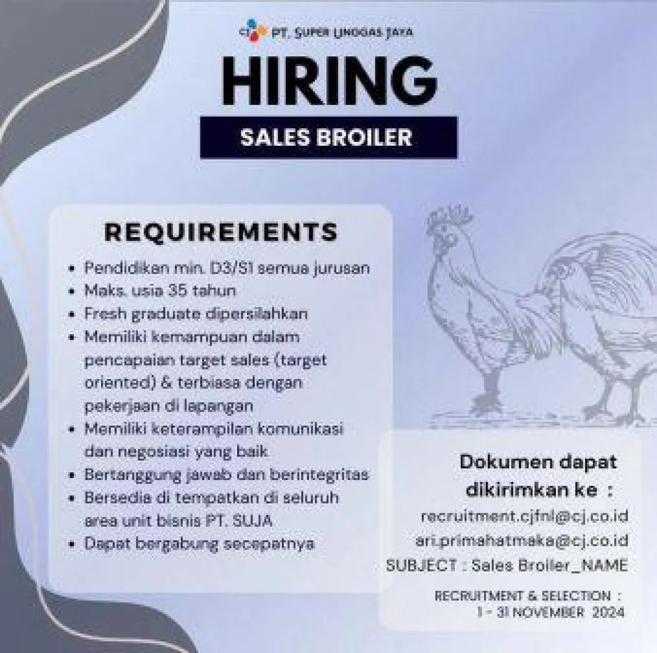 PT Sumber Unggas Jaya Buka Lowongan Kerja Sales Broiler