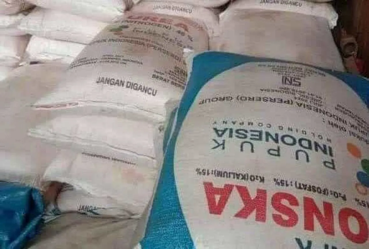 Mafia Pupuk Subsidi di Lumajang Cuma Dipenjara 1 Bulan