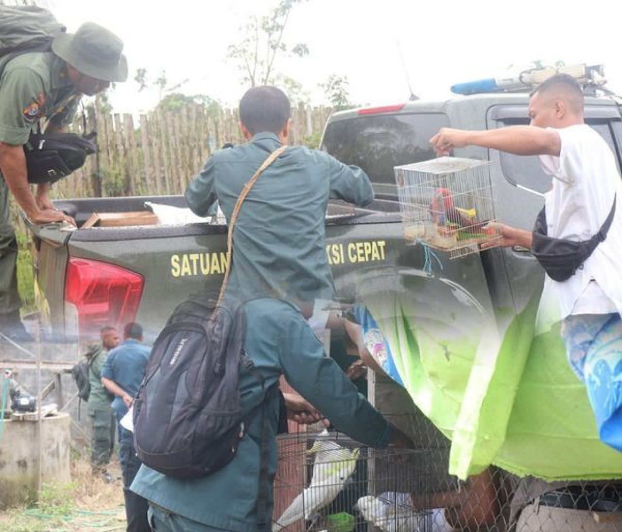 Kasus perdagangan satwa liar yang dilindungi melalui media online di Kabupaten Merauke