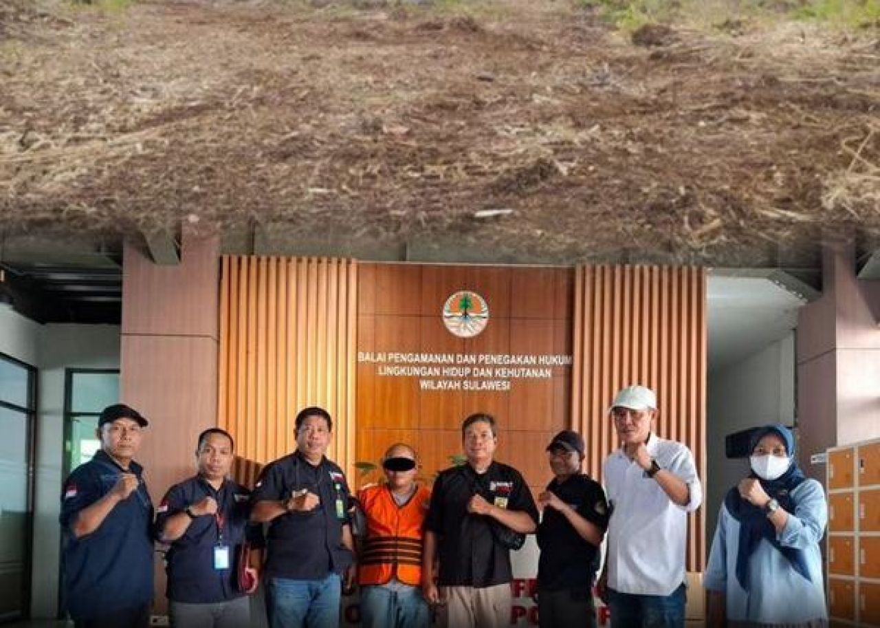 IW, tersangka perusakan hutan