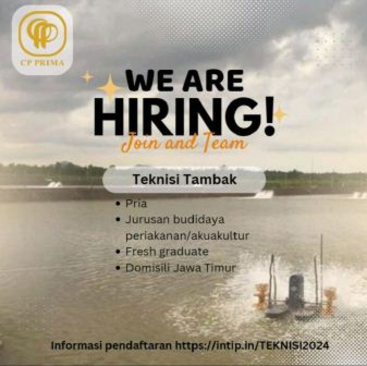 Lowongan CP Prima