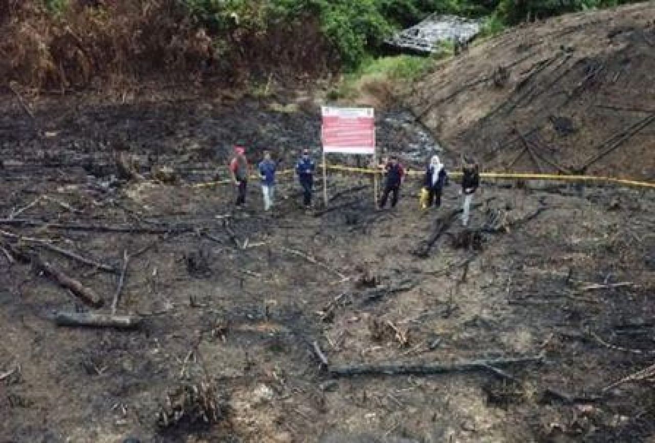 Kebakaran hutan