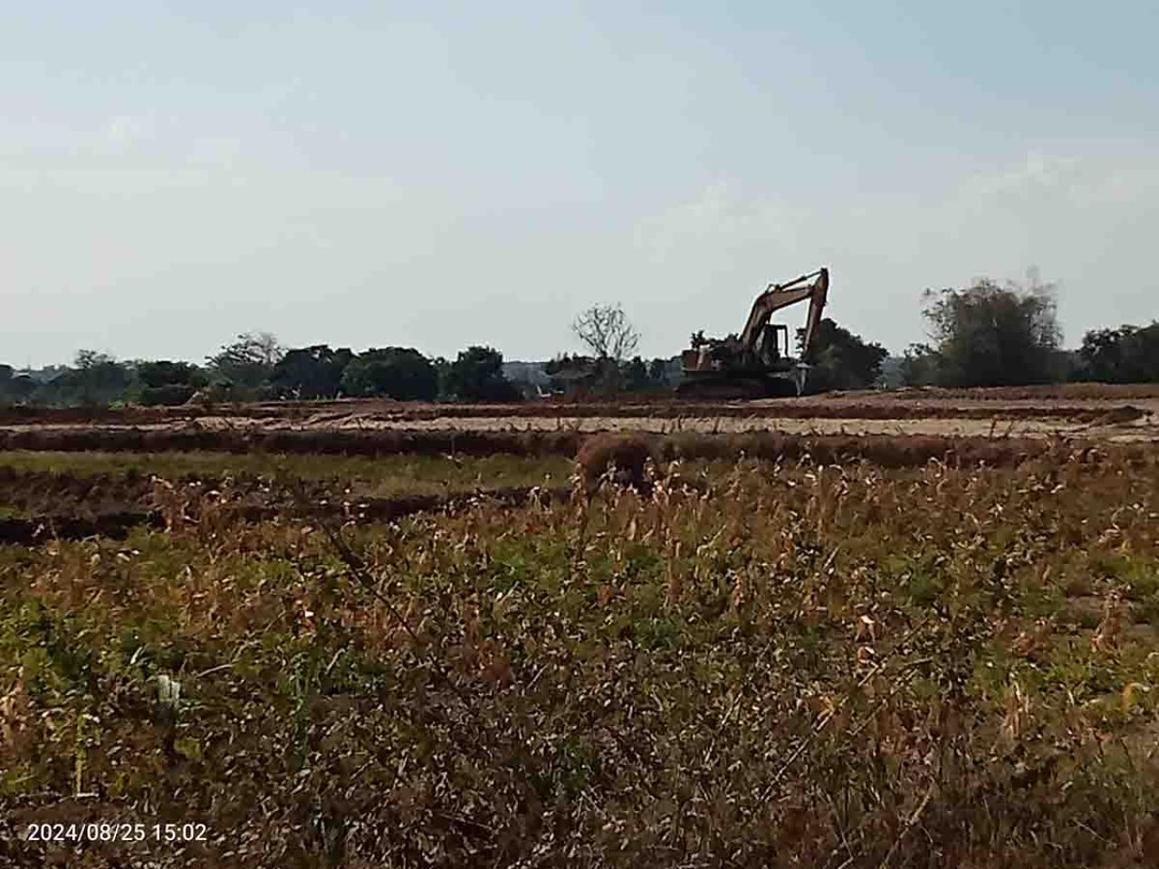 Excavator di tengah sawah yang digunakan mengerug tanah