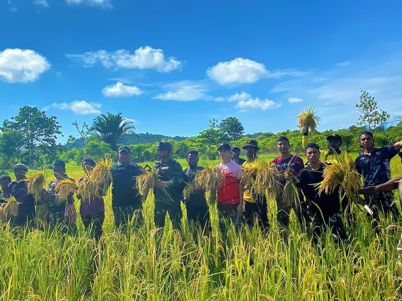 Panen bersama sebagai bentuk solidaritas antar masyarakat di Batom