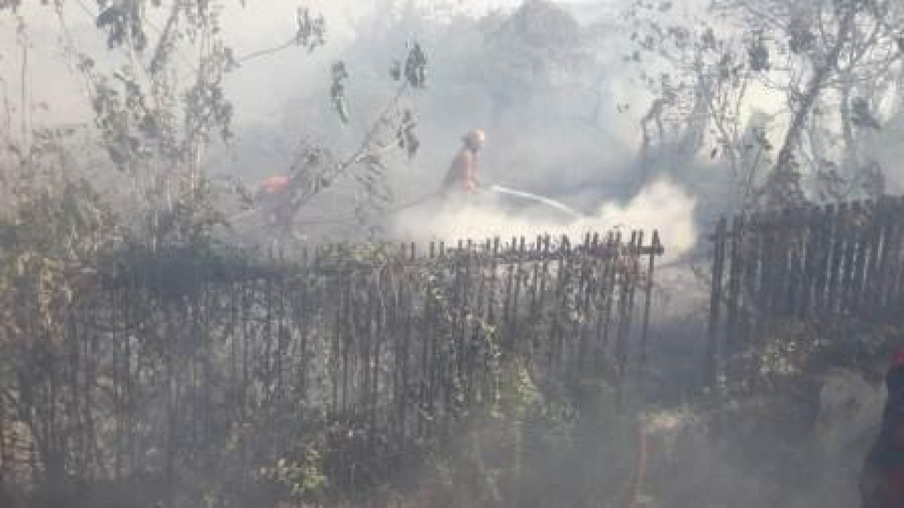 Kebakaran di Desa Driyorejo