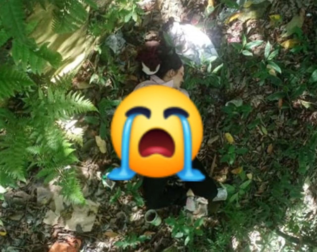 Mayat wanita yang ditemukan di tengah hutan di Pacet