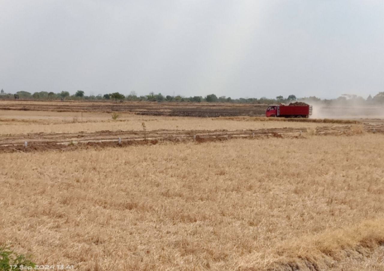 Tampak truk saat membawa bahan tambang dari Desa Jogodalu