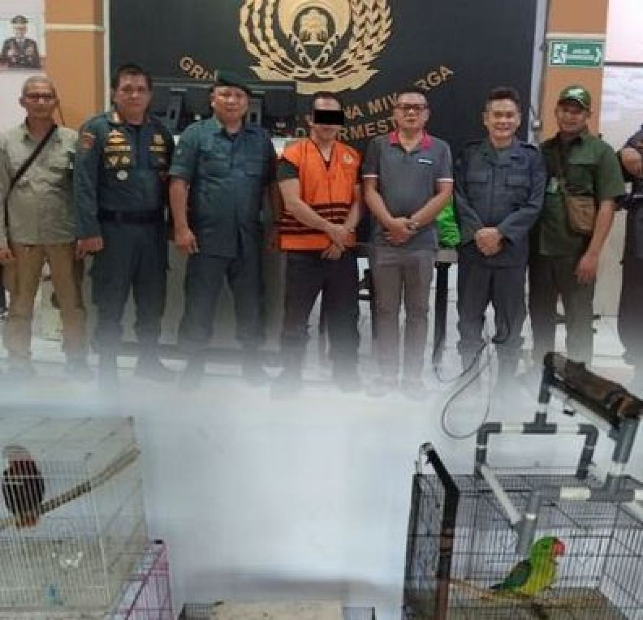 Pelaku perdagangan ilegal satwa liar yang dilindungi di Kabupaten Minahasa