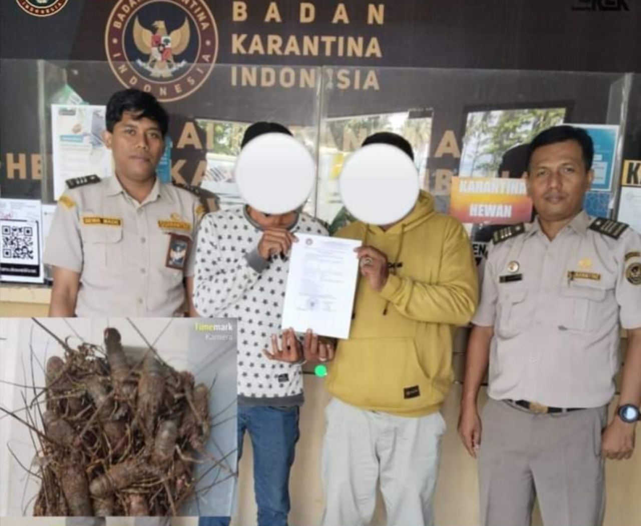 Dua Terlapor diamankan Pejabat Karantina di Banyuwangi