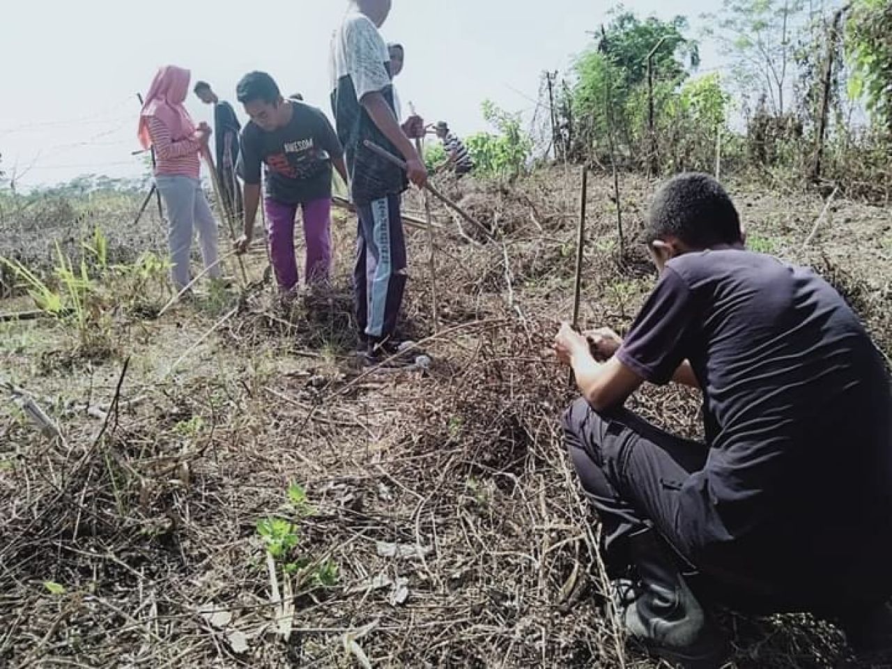 Hutan Rarung