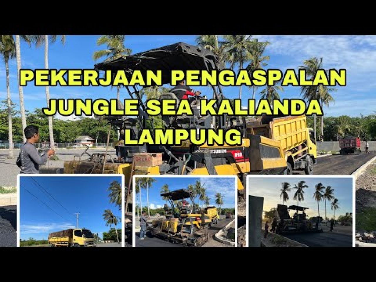 Junglesea