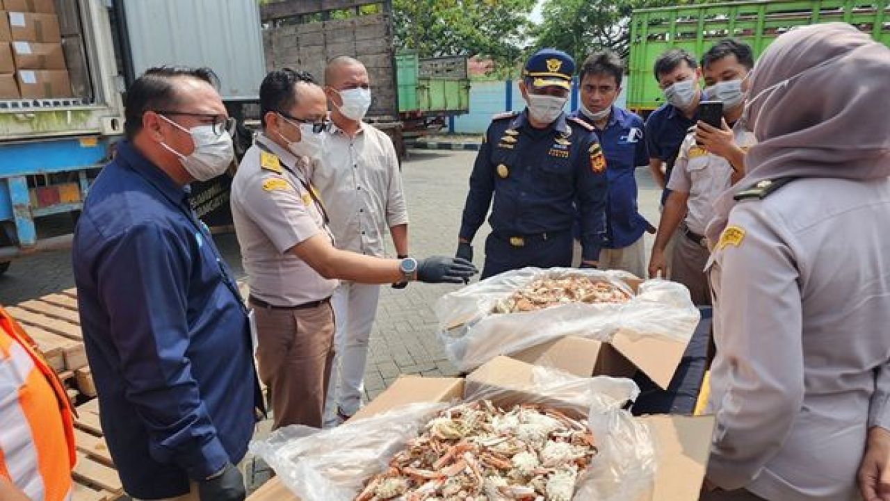 Pemusnahan Kepiting asal Tunisia