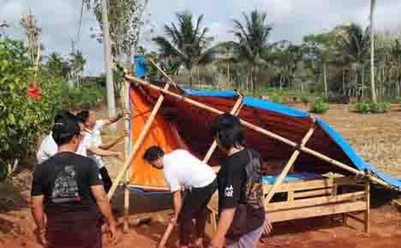 Arena Sabung Ayam di Desa Mojorejo