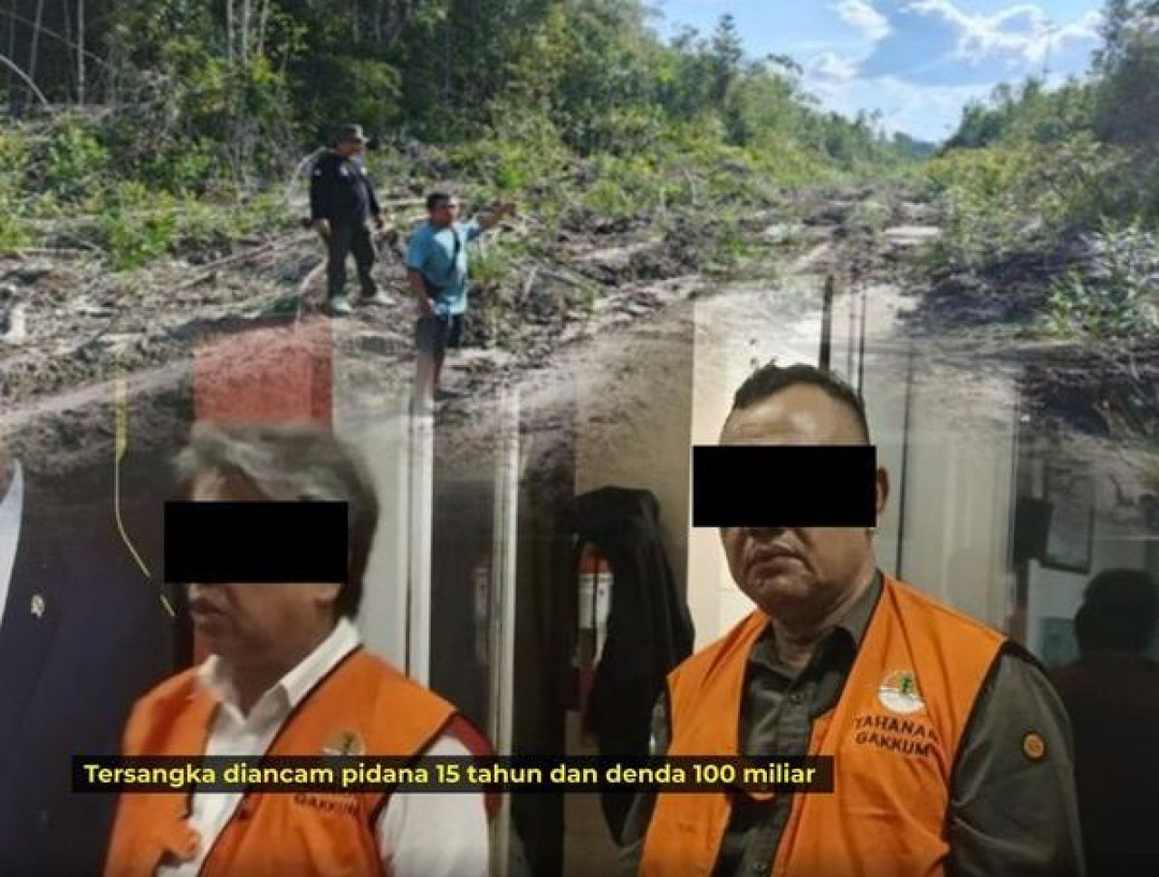 Tersangka pembalakan liar