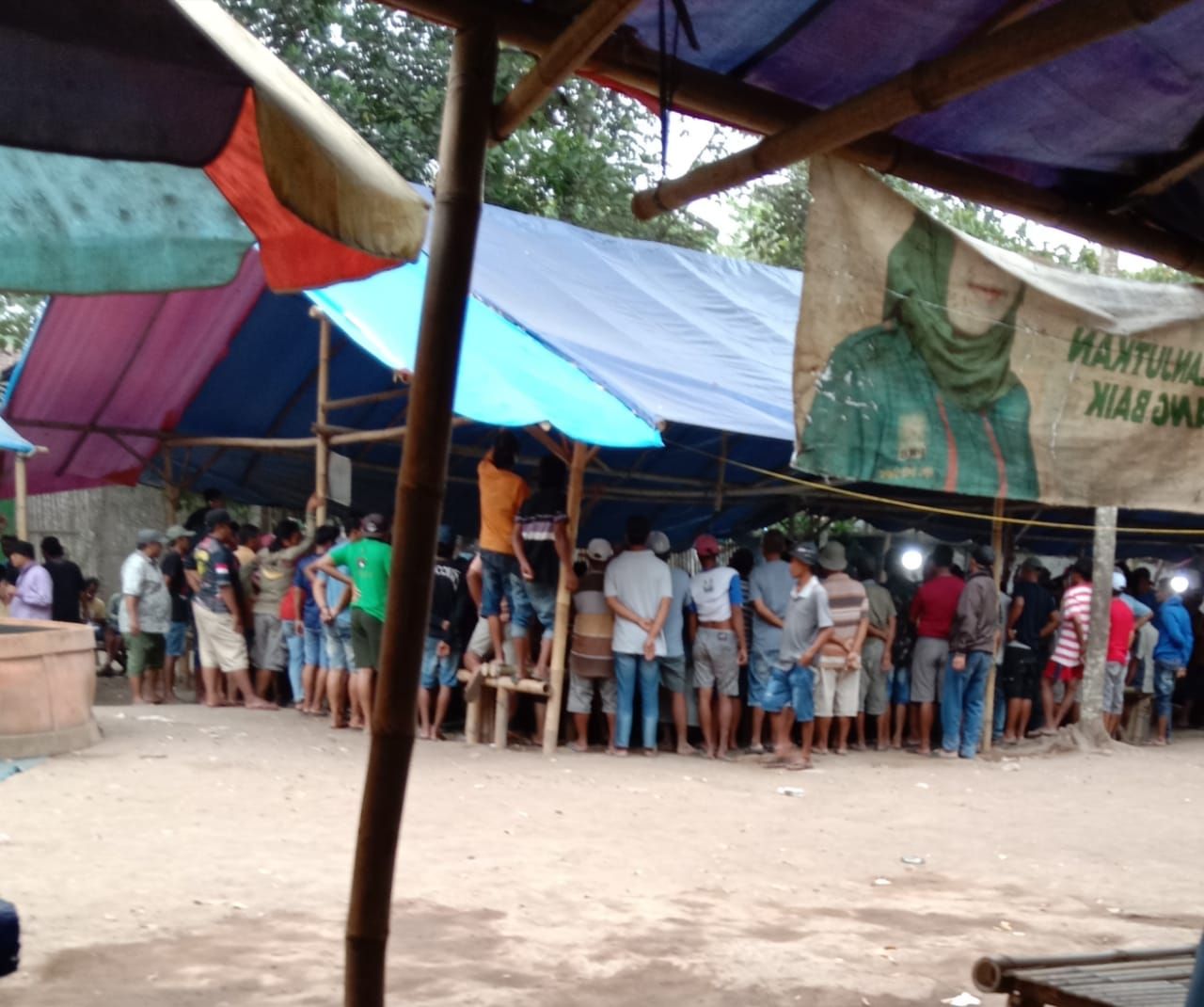 Arena judi sabung ayam di Kabupaten Jember