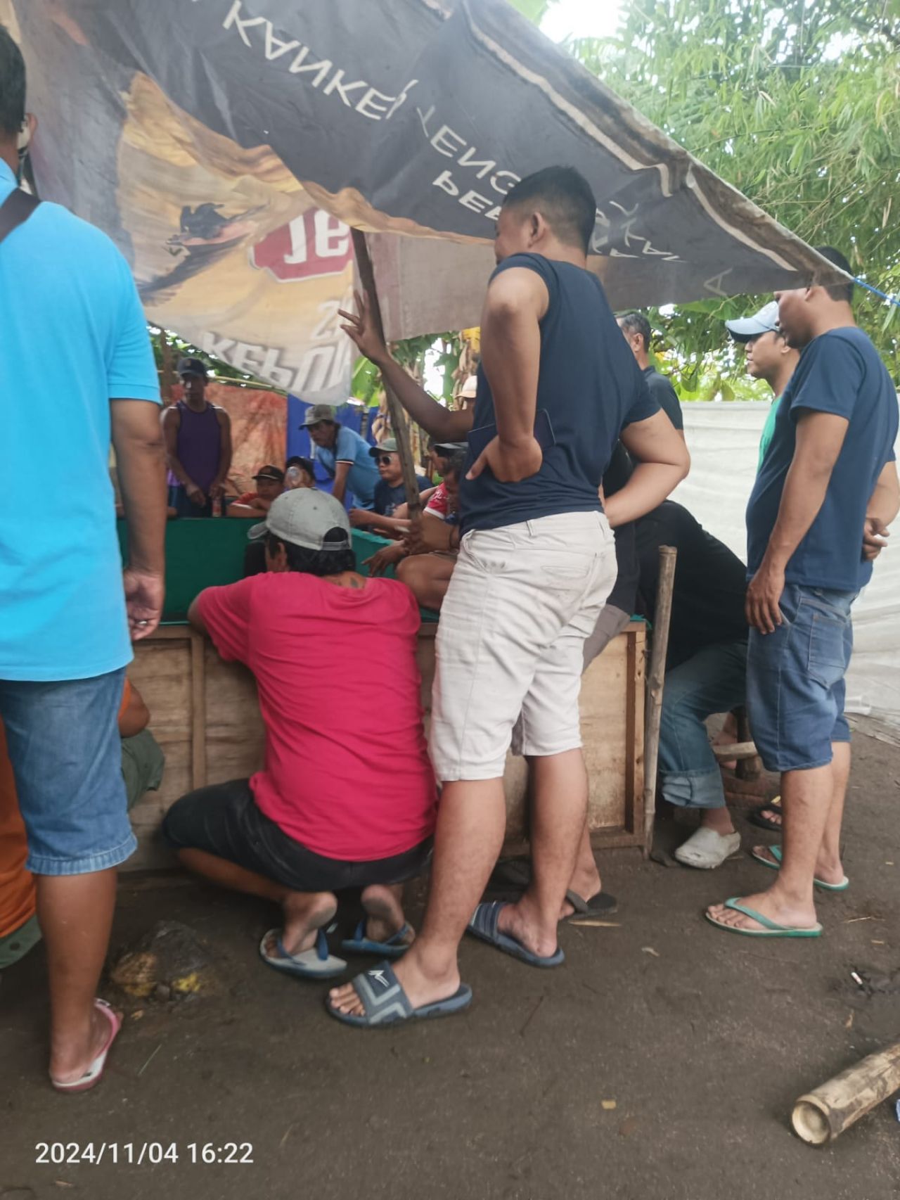 Sabung ayam di Desa Klantingsari