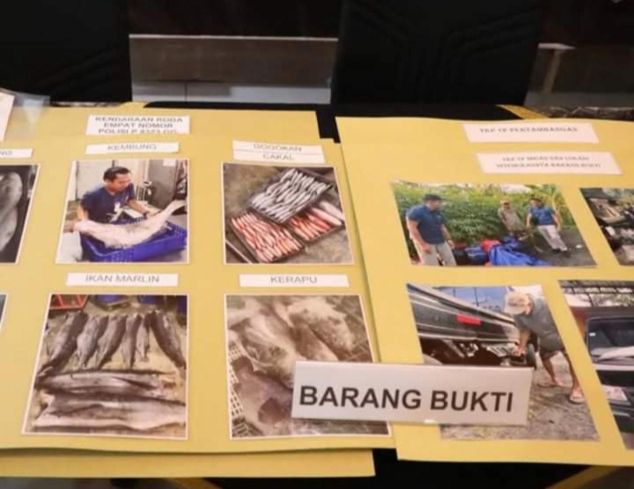Barang bukti aneka jenis ikan