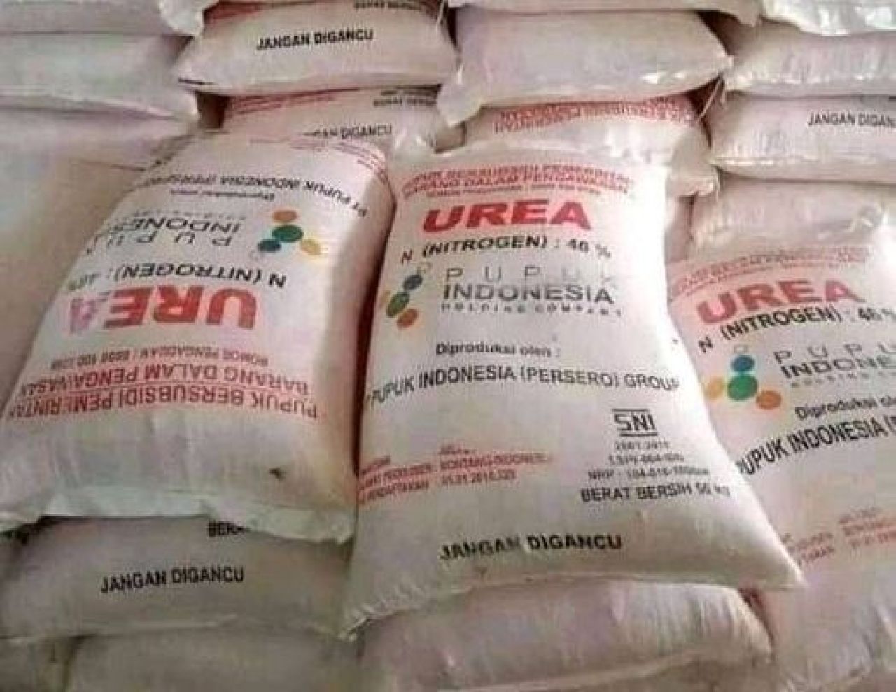 Pupub yang disubsidi Pemerintah