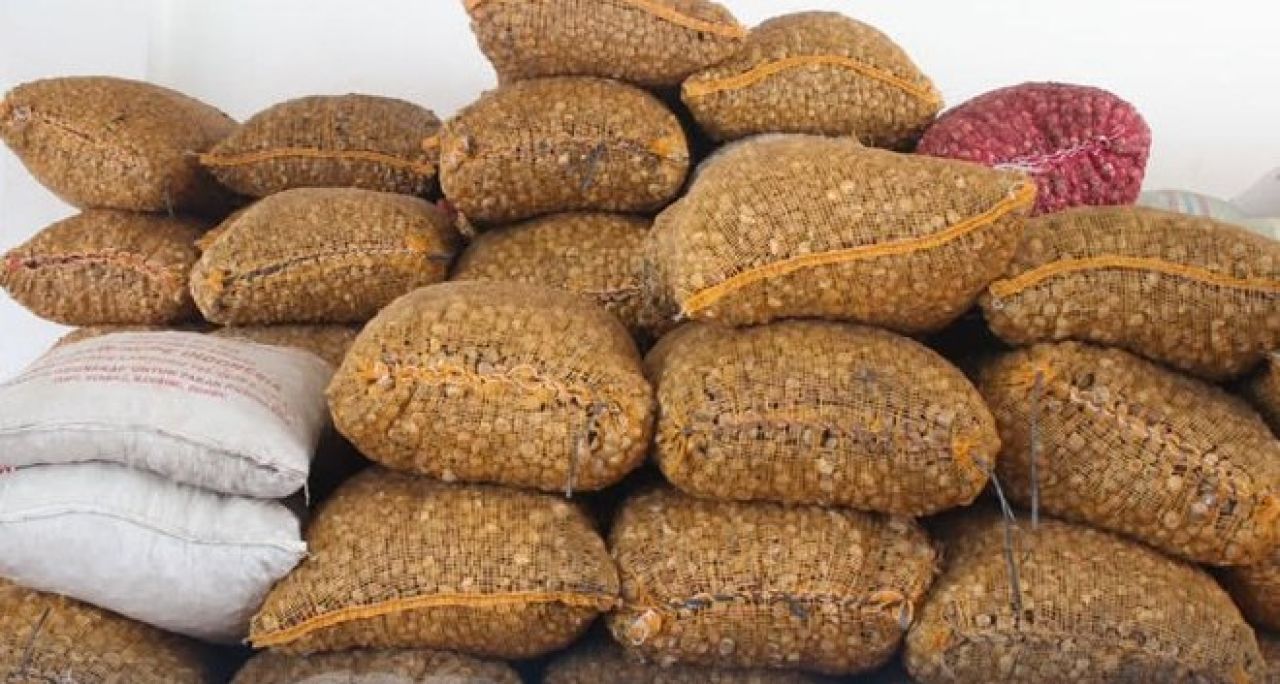 Komoditas Pinang