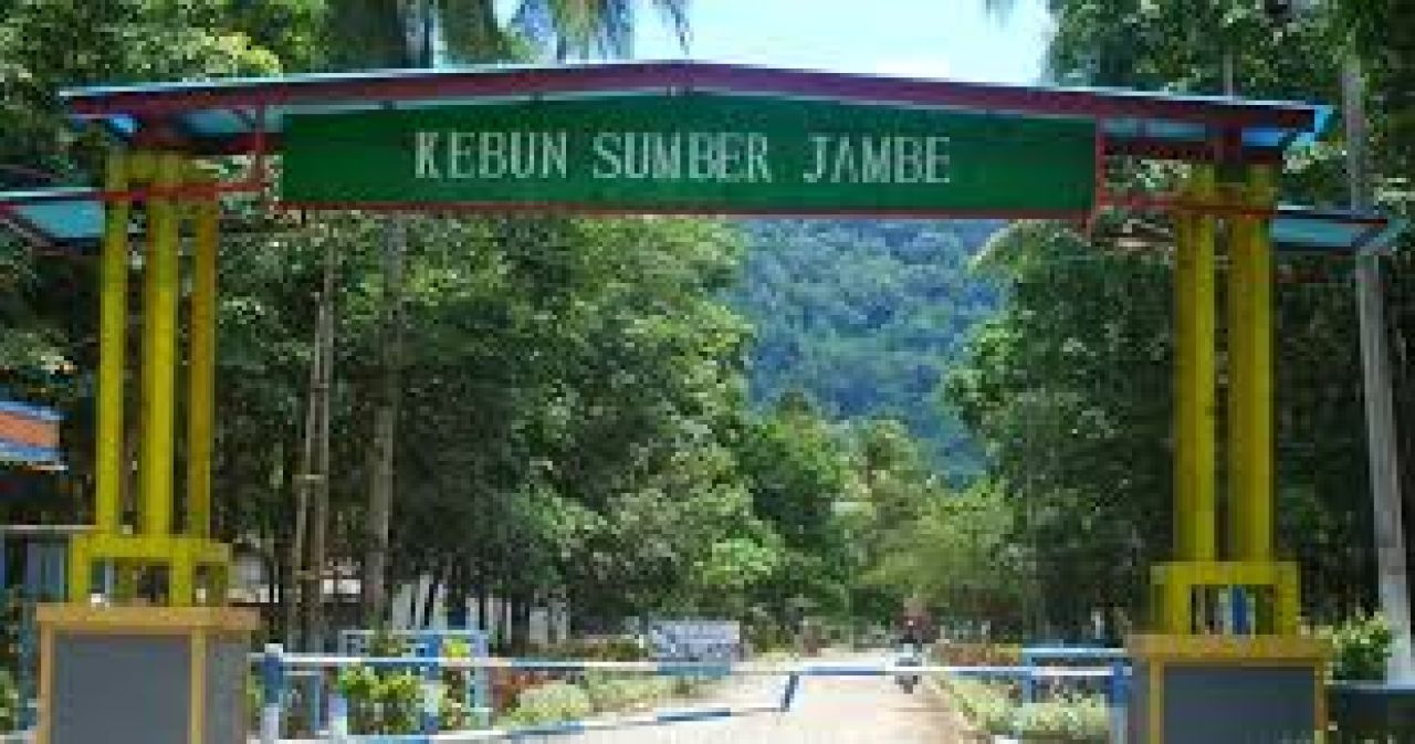 PTPN I Regional V Sumberjambe