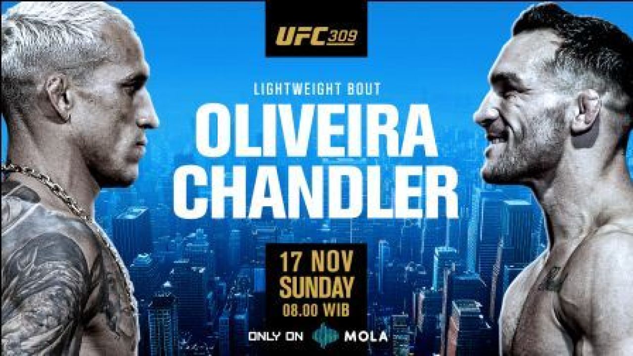 UFC 300