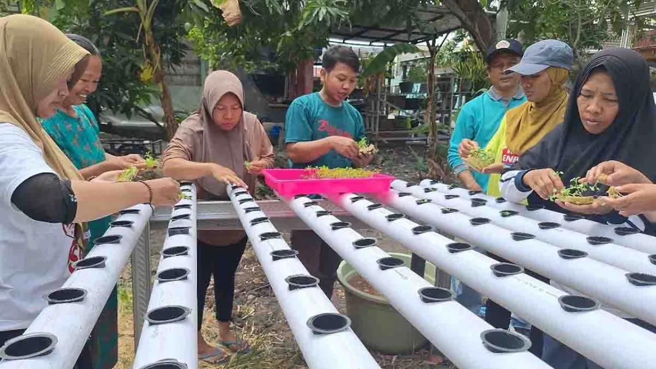Tim Universitas Wijaya Putra Menginisiasi Program Urban Farming di Desa Cagakagung