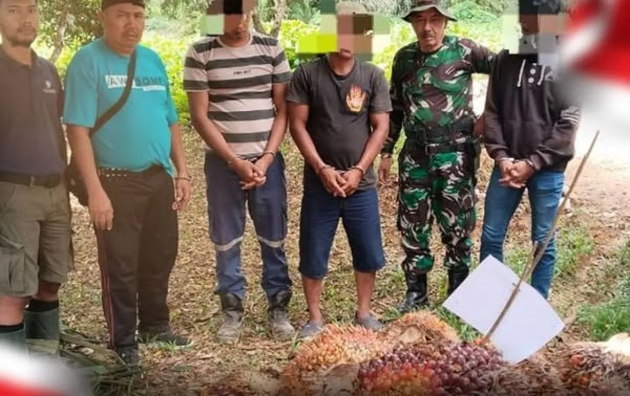 Polsek Kota Bangun Tangkap Pencuri Sawit Milik PT Prima Mitrajaya Mandiri