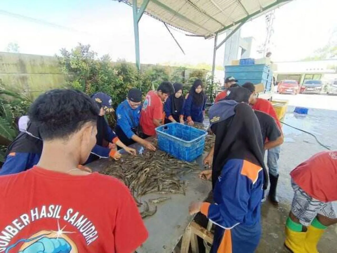 Siswa SMK Perikanan dan Kelautan Puger Ekspor Udang Senilai 2,7 Miliar