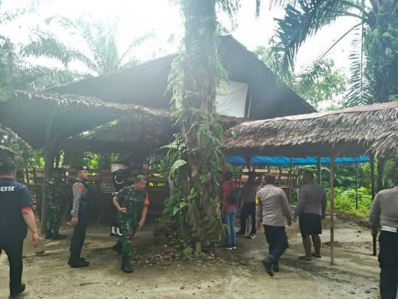 Tim Gabungan TNI Polri Grebek Lokasi Sabung Ayam di Pancur Batu