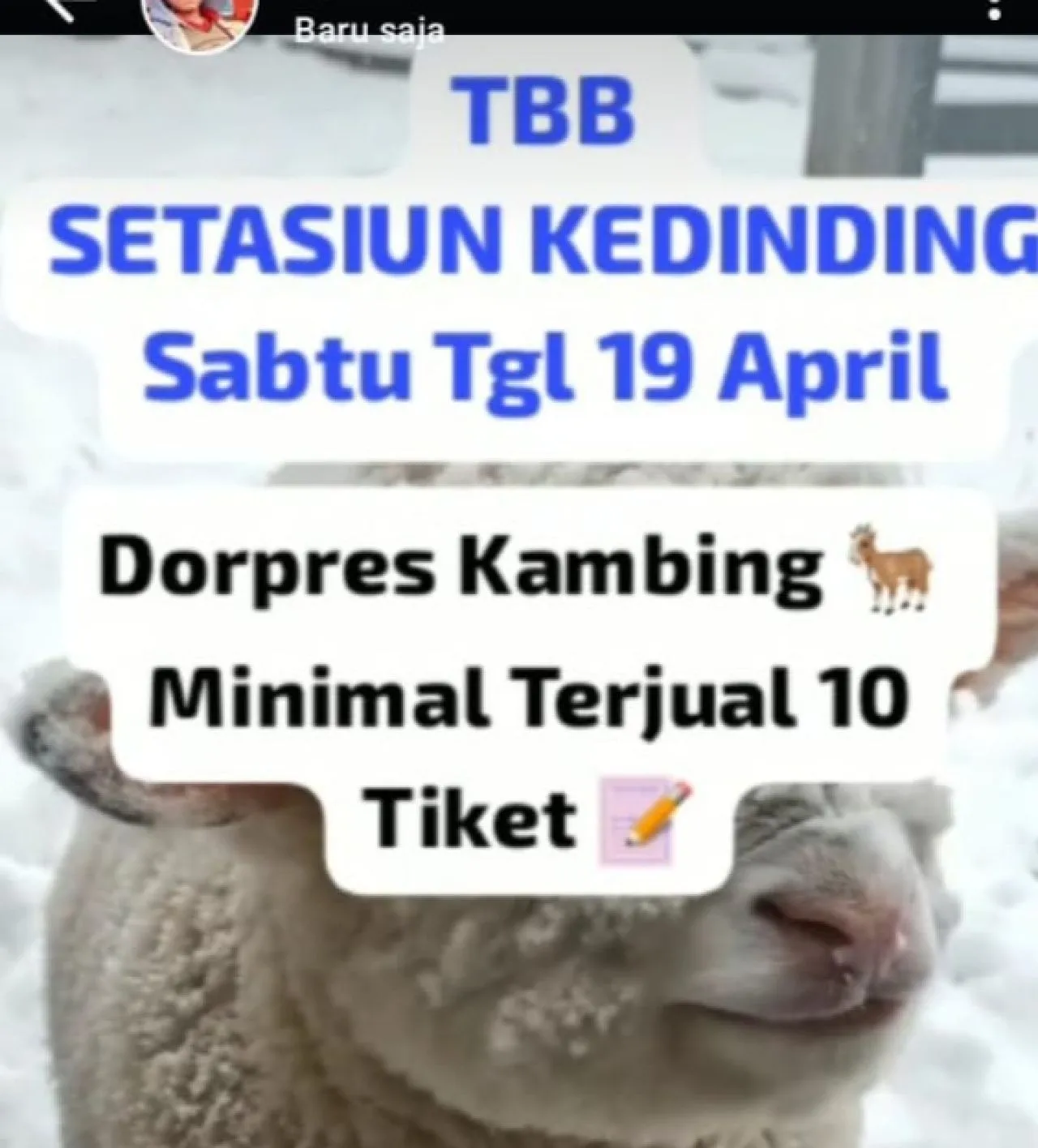 Status Whatsapp dari salah satu pengurus sabung ayam di Tarik