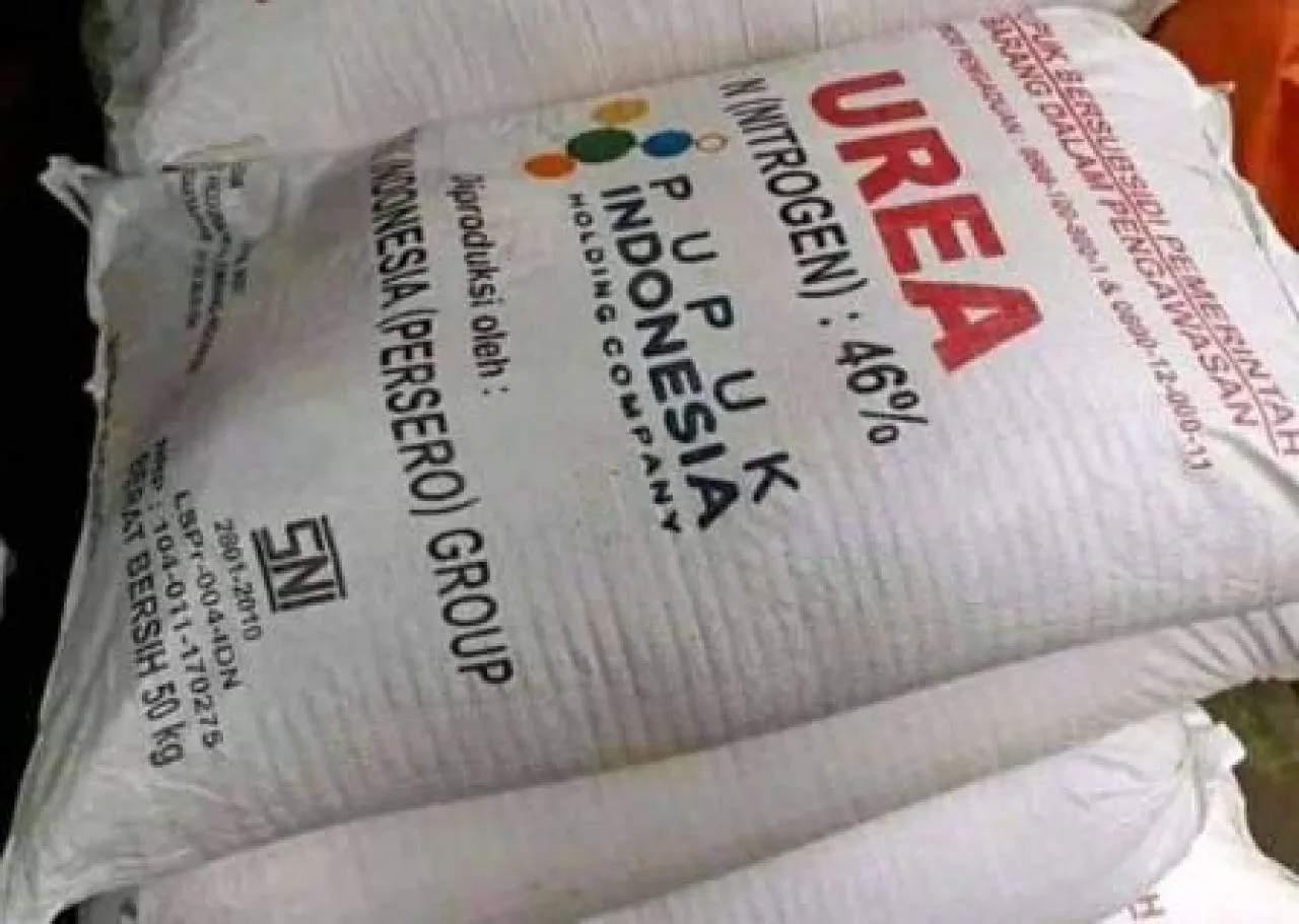 Gudang Penimbunan Pupuk Bersubsidi Ilegal di Desa Sumolawang
